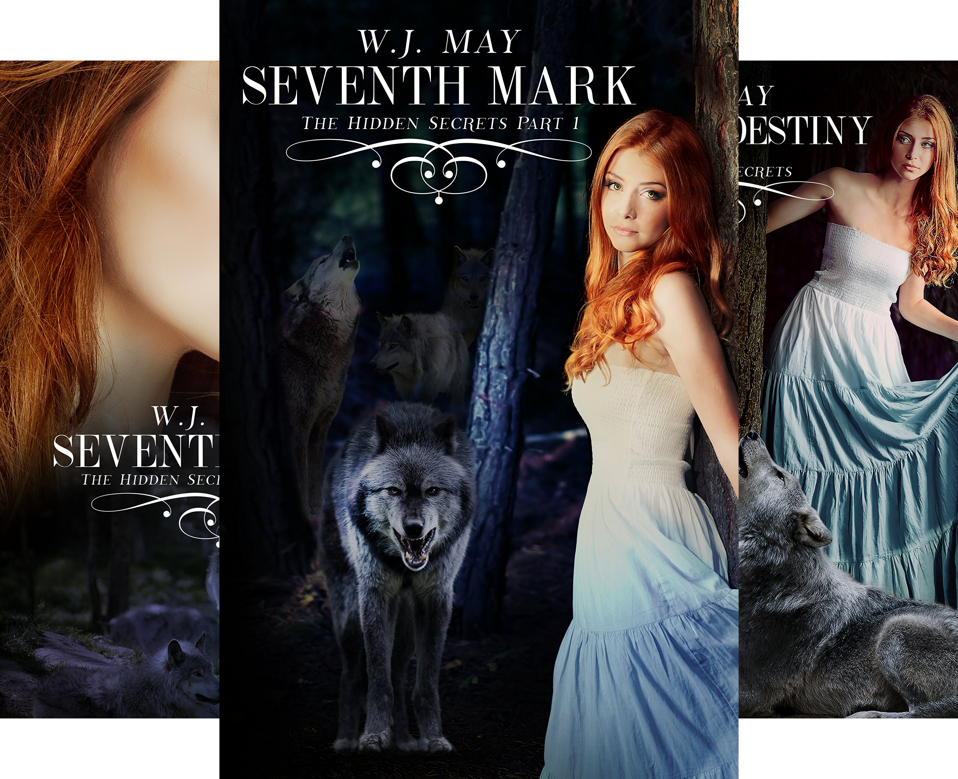 The Hidden Secrets Saga (6 Book Series)