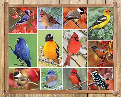 Springbok Puzzle to Remember - Alzheimer & Dementia Activity -100 Piece Jigsaw Puzzle Songbirds - Made in USA