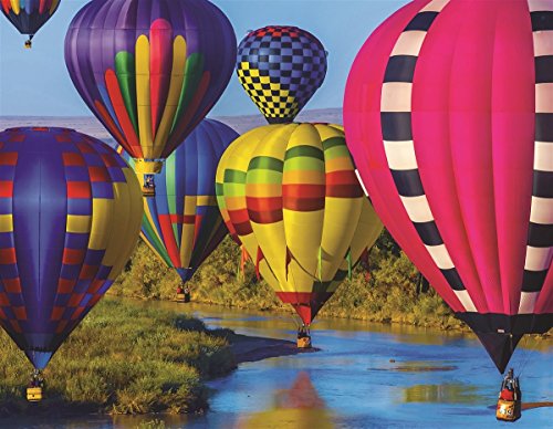 Springbok's 100 Piece Jigsaw Puzzle Take Flight - Made in USA