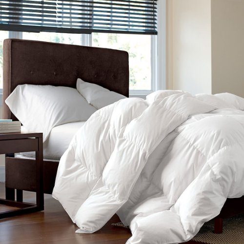 Book Cover Luxurious Full/Queen Size Siberian Goose Down Comforter, 1200 Thread Count 100% Egyptian Cotton 750FP, 50oz, 1200TC, White Solid