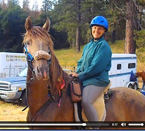 Here's the Science: Theorem for Replacing Uphill Riding with Driving for Endurance Conditioning: as Published in "Conditioning the Gaited Horse for Endurance 2" 2016