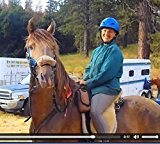 Here's the Science: Theorem for Replacing Uphill Riding with Driving for Endurance Conditioning: as Published in "Conditioning the Gaited Horse for Endurance 2" 2016