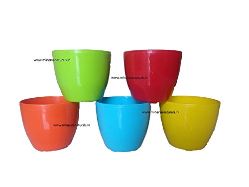 GARDENS NEED Cool Pot (13cm, Pack of 5, Multicolour)