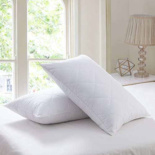 Book Cover L LOVSOUL Set Of 2 Goose Feather Pillows King Size -1000 Thread Count Cotton Cover,20