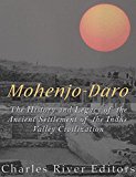 Mohenjo-daro: The History and Legacy of the Ancient Settlement of the Indus Valley Civilization