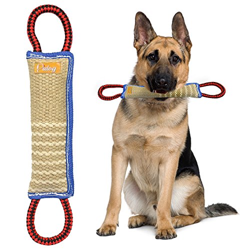 Didog Dog Bite Tug Toy with 2 Handles for Training,Sporting and Interaction Tugging Outside(11" Long)