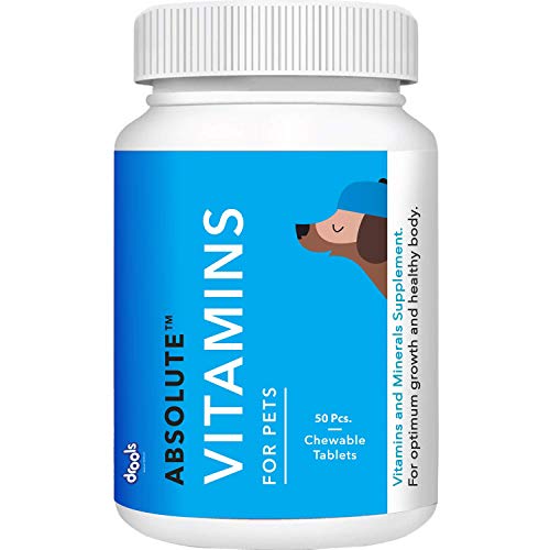 Drools Absolute Vitamin Tablet- Dog Supplement, 50 Piece for All Breed Sizes for Dogs Preservative-Free