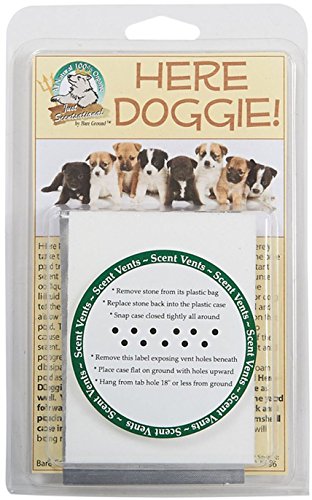 Just Scentsational HD-1 Here Doggie! Indoor Dog Training Scented Stone