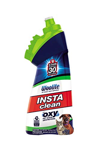 BISSELL Woolite InstaClean Pet with Brush Head Cleaner, 1740