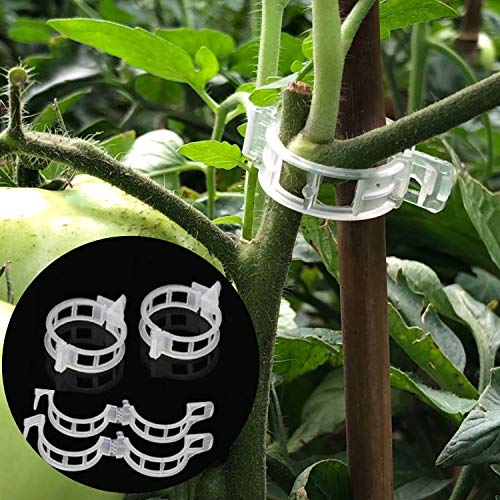 LEOBRO 150PCS Plant Support Garden Clips for Vine Vegetables, Tomato Trellis Clips, Make Garden Vegetable Grow Upright and Healthier, White