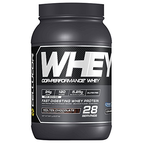 Book Cover Cellucor Whey Protein Isolate & Concentrate Blend Powder with BCAA, Post Workout Recovery Drink, Gluten Free Low Carb Low Fat, Molten Chocolate, 28 Servings