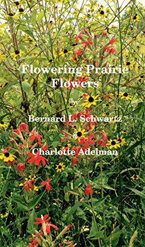 Flowering Prairie Plants