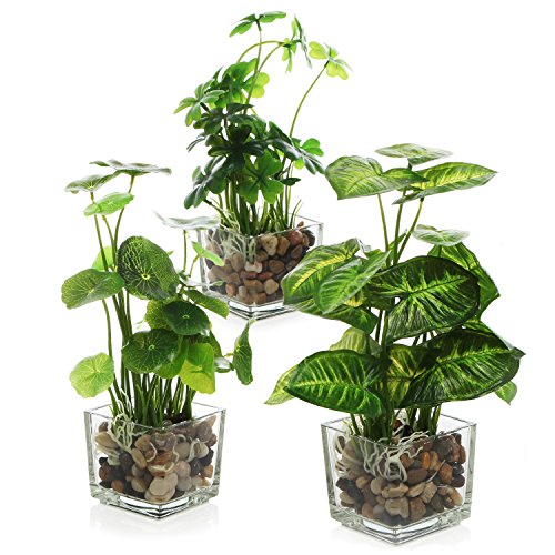 Book Cover MyGift Set of 3 Artificial Plants, Faux Tabletop Greenery w/Clear Glass Pots