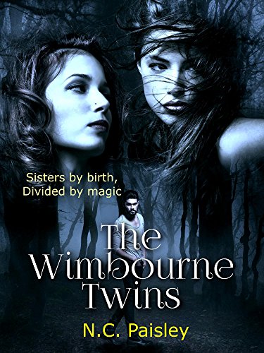 The Wimbourne Twins: A teen fantasy with romance and adventure (The World of Kandar Book 1)
