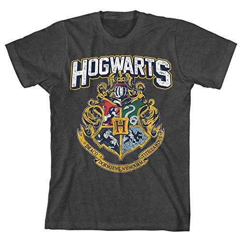 Book Cover HARRY POTTER Hogwarts Distressed Boys Youth T-Shirt Licensed
