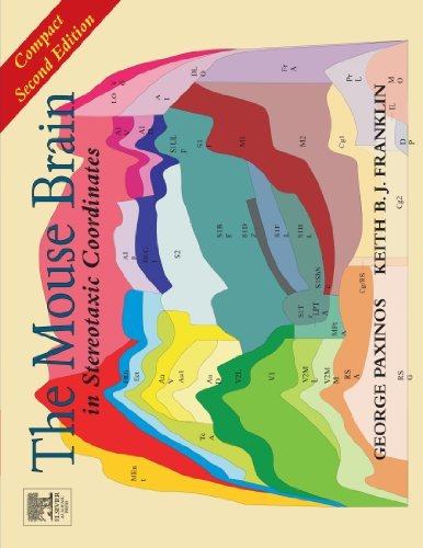 The Mouse Brain in Stereotaxic Coordinates: Compact Second Edition by Dr. George Paxinos (2003-11-24)
