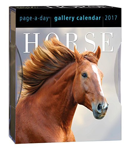 Horse Page-A-Day Gallery Calendar 2017 by Workman Publishing (2016-05-22)