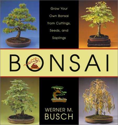 Bonsai: Grow Your Own Bonsai from Cuttings, Seeds, and Saplings by Werner M. Busch (2002-01-01)