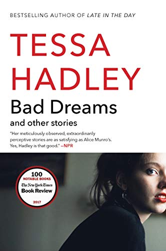 Bad Dreams and Other Stories: Edge Hill Prize Winner – Illuminating the Extraordinary Within Ordinary Life