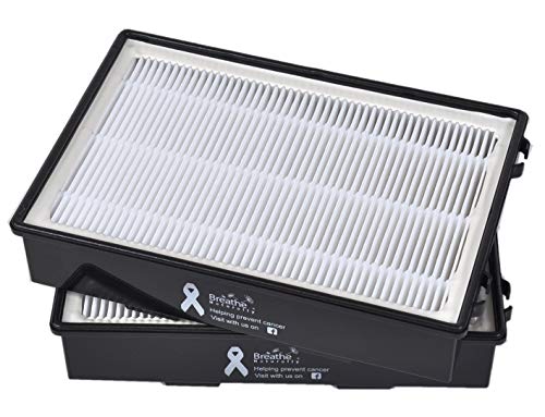 Breathe Naturally Replacement HAPF600/600D Filter B (2 Pack) HAPF600D-U2 True HEPA Filters for Holmes Air Purifier