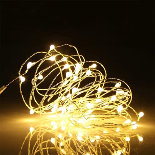 Book Cover Ehome Fairy Lights, USB Operated Fairy Light Plug in 33ft 100 Led Waterproof String Lights Copper Wire Decorative String Light for Bedroom Indoor Christmas Wedding Party Patio Window
