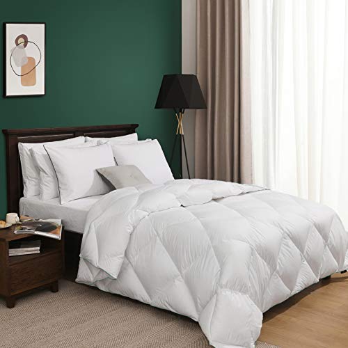 Book Cover Basic Beyond Lightweight Down Comforter Duvet Insert Twin - with Corner Tabs, 600+ Fill Power, Ultra Soft Shell Down Proof