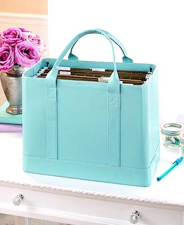Chic File Organizers (Blue)
