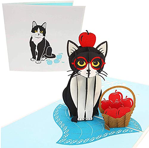PopLife Playful Cat Pop Up Card, 3D Card For All Occasions - Cat Lover Card, Funny