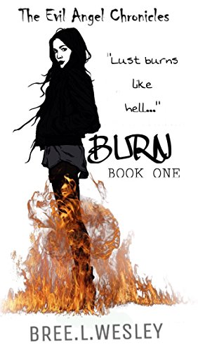 Burn: The Evil Angel Chronicles