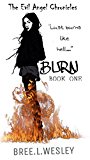 Burn: The Evil Angel Chronicles