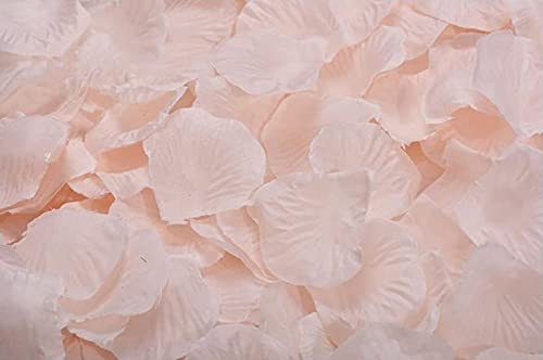 ocharzy 1000pcs Rose Petals Artificial Silk Flower Rose Petals for Wedding Decorations, Romantic Night, Valentine's Day, Parties, Events (Champagne Like Pink)