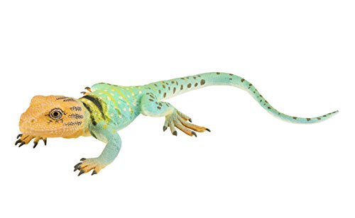 Safari Ltd. Incredible Creatures Collared Lizard Toy Figure for Boys & Girls Ages 3 and Up, Realistic Figurine