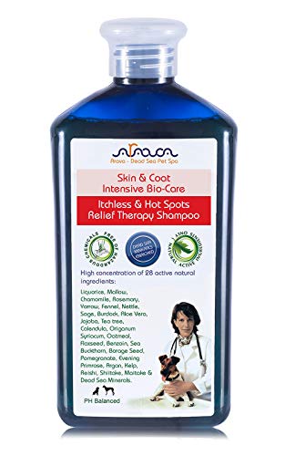Arava Natural Medicated Dog Shampoo â€“ Antibacterial Antifungal Anti Yeast Anti Itch Dog Shampoo - Healthy Skin & Coat - First Aid in Hot Spots Ringworm Scrapes Abrasions & Dermatologic Infectionsâ€¨