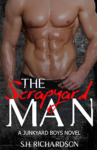 Book Cover The Scrapyard Man: A Junkyard Boys Novel