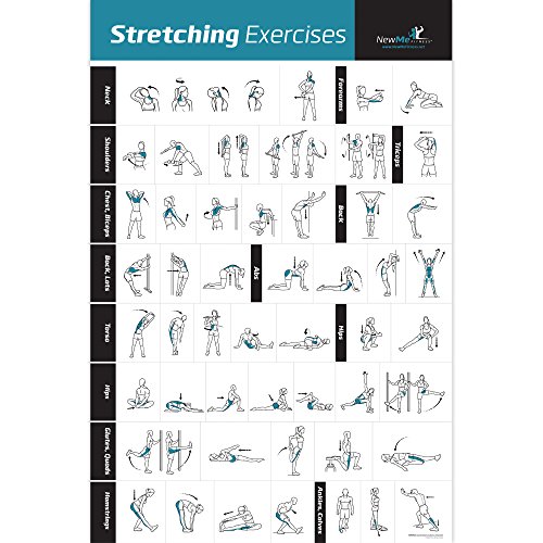 Stretching Exercise Poster Laminated - Shows How to Stretch Specific Muscles for Your Workout - Home Gym Fitness Guide (20" x 30")