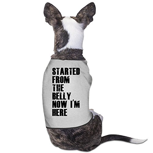 LeeRa Started From The Belly Now I'm Here Dog Coats