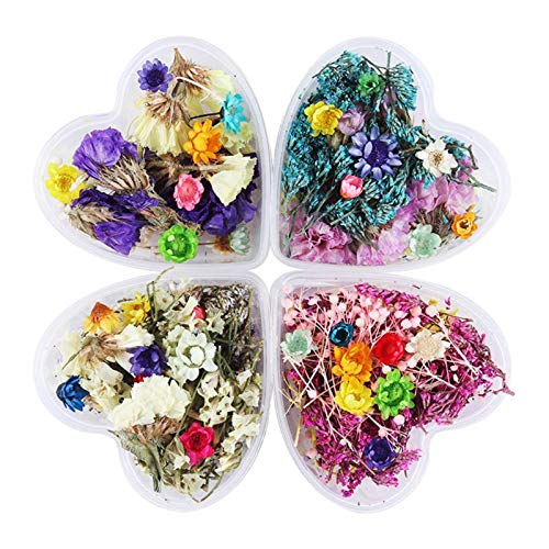 NICOLE DIARY 4 Boxes Dry Flower Nail Art DIY Preserved Flower Decorations Real Dry Flowers With Heart-Shaped Box for Resin Craft DIY Nail Decoration Nail Tips Manicure