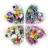 NICOLE DIARY 4 Boxes Dry Flower Nail Art DIY Preserved Flower Decorations With Heart-Shaped Box Nail Art Decoration