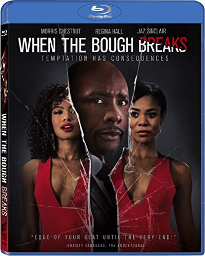 Book Cover When the Bough Breaks [Blu-ray]