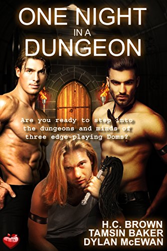 One Night in a Dungeon: Anthology