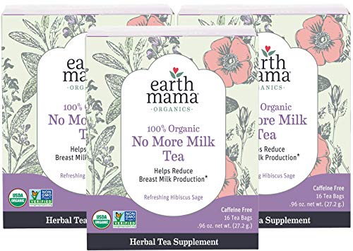 Book Cover Earth Mama Organic Morning Wellness Tea Bags for Occasional Morning Sicknes 16 Count (Pack of 3)