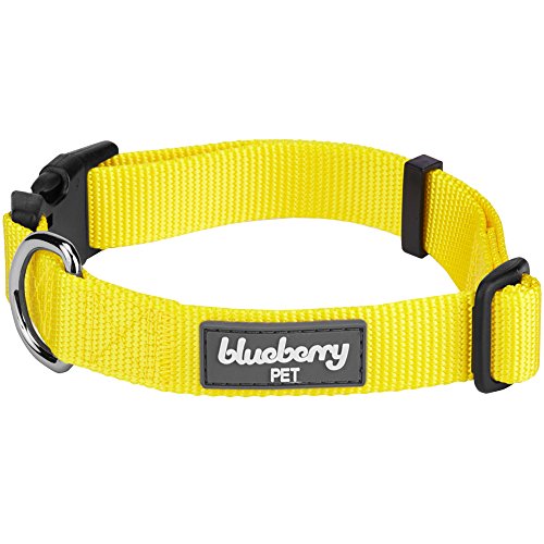 Blueberry Pet 32 Colors Classic Dog Collar, Blazing Yellow, Large, Neck 18"-26", Nylon Collars for Dogs