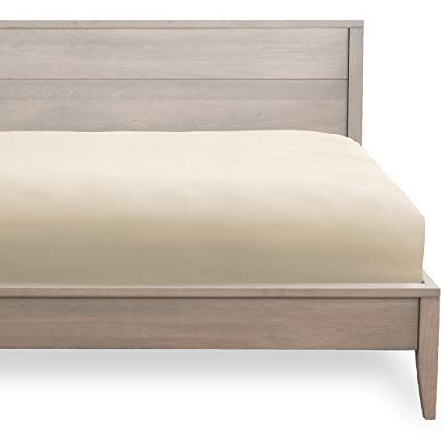 Bare Home Kids Fitted Bottom Sheet Twin Extra Long - Premium 1800 Ultra-Soft Wrinkle Resistant Microfiber - Hypoallergenic - Deep Pocket (Twin XL, Sand)