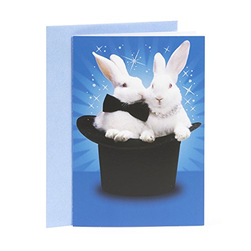Hallmark Shoebox Funny Anniversary Card (Magic Bunnies)