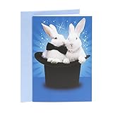 Hallmark Shoebox Funny Anniversary Card (Magic Bunnies) (0369RZF3022)
