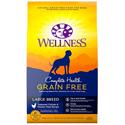 Book Cover Wellness Complete Health Natural Grain Free Dry Large Breed Dog Food, Chicken, 24-Pound Bag