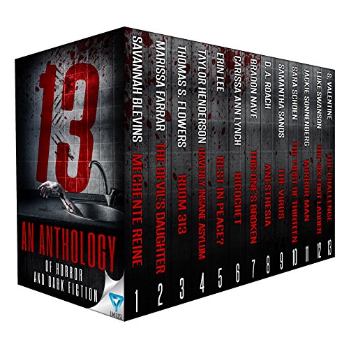 Book Cover 13: An Anthology Of Horror and Dark Fiction (Thirteen Series)