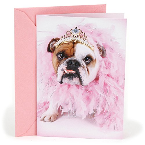 Hallmark Shoebox Funny Birthday Greeting Card (Bulldog in Tiara)