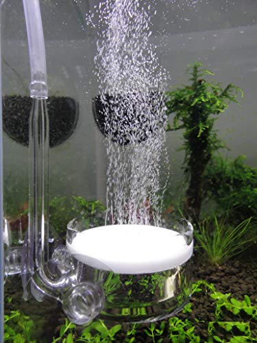 JARDLI Pollen Glass CO2 Diffuser with U-Shape Connecting Tube for Aquarium Planted Tank (50-75 US gallons)