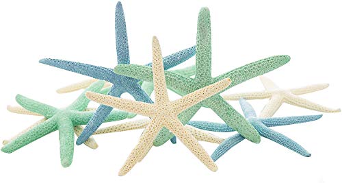Nautical Crush Trading Starfish Decor - Star Fish for Craft - 10pk Real 6-8" White Sea Stars - Beach Wedding Decor - Coastal Party Decorations - Seashell Décor